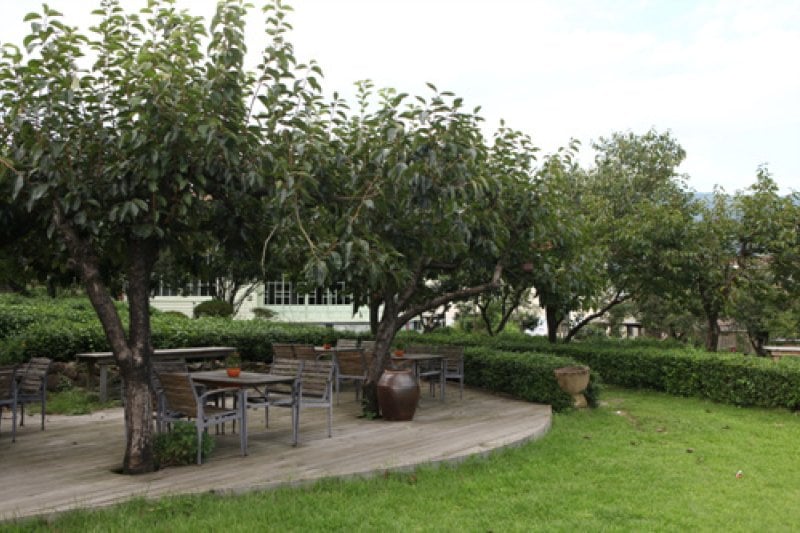 Maeam Tea Museum  (7/17)