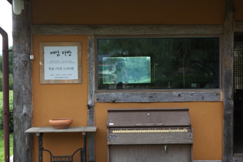 Maeam Tea Museum  (8/17)
