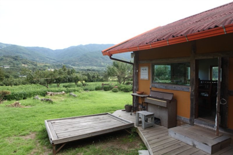 Maeam Tea Museum  (13/17)