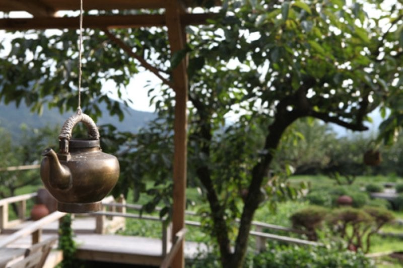Maeam Tea Museum  (14/17)