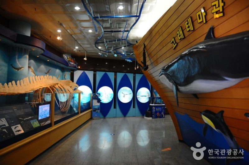 Fisheries Science Museum  (5/7)