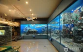 Fisheries Science Museum 