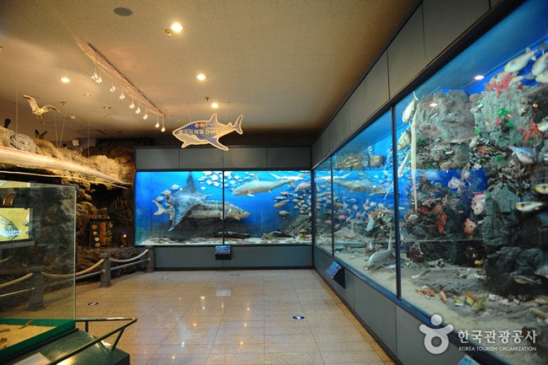 Fisheries Science Museum  (6/7)