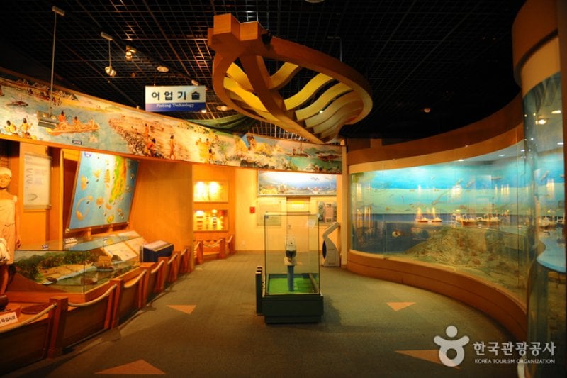 Fisheries Science Museum  (7/7)