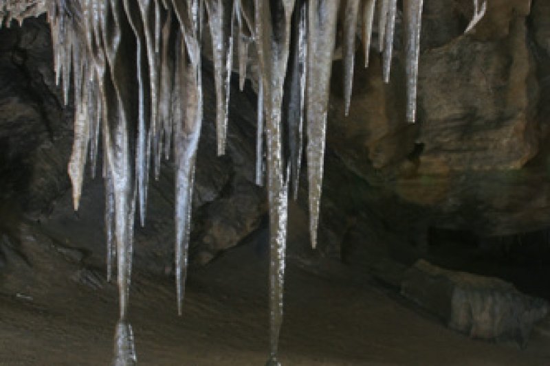 Baengnyong Cave  (5/11)