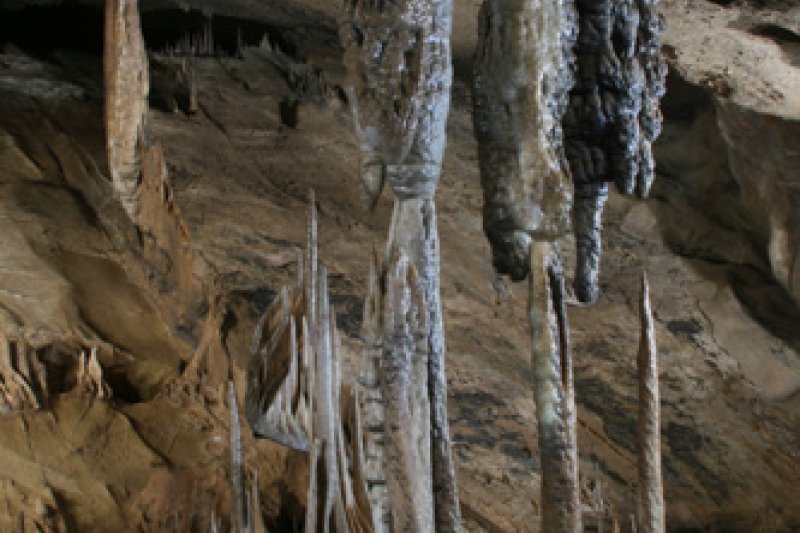 Baengnyong Cave  (6/11)