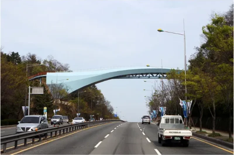 Solmarugil Road  (1/6)