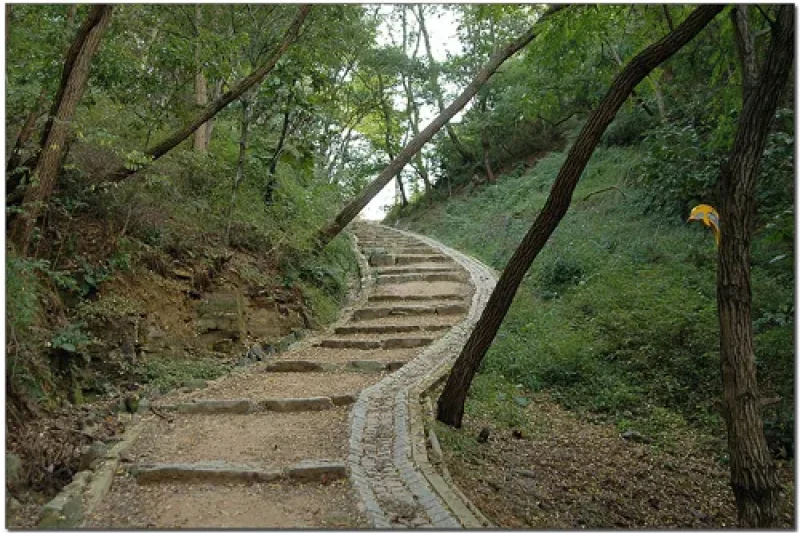 Solmarugil Road  (2/6)