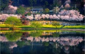 Seonam Lake Park 