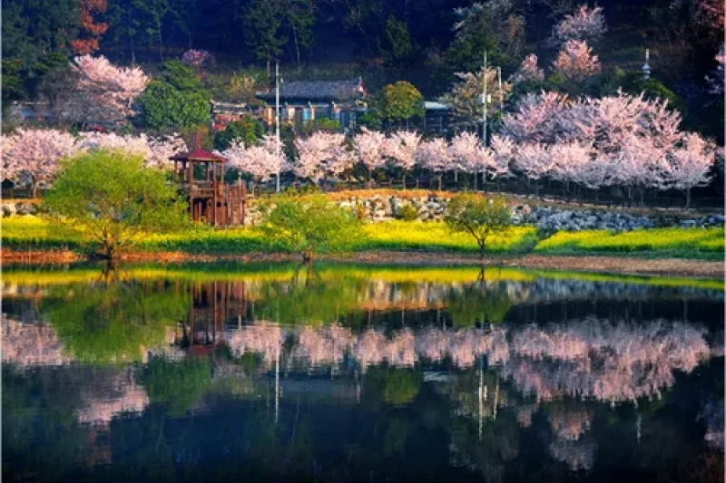 Seonam Lake Park  (1/10)