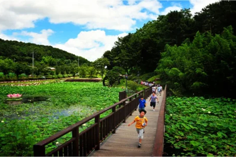 Seonam Lake Park  (2/10)