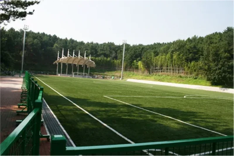 Seonam Lake Park  (3/10)