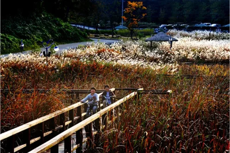 Seonam Lake Park  (4/10)