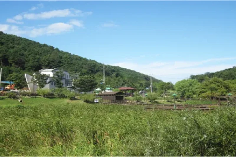 Seonam Lake Park  (5/10)