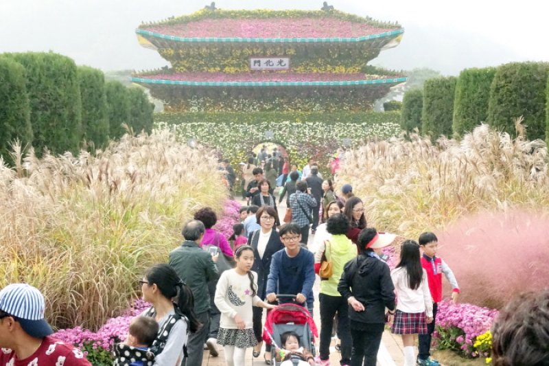 Hampyeong Grand Chrysanthemum Festival  (1/8)