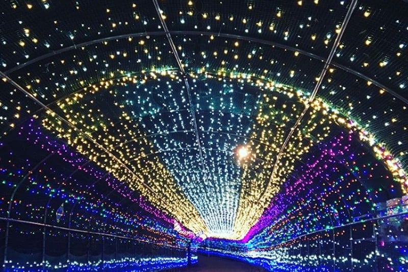 Bitnoriya in Yeosu  (2/7)