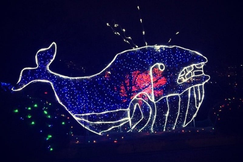 Bitnoriya in Yeosu  (6/7)