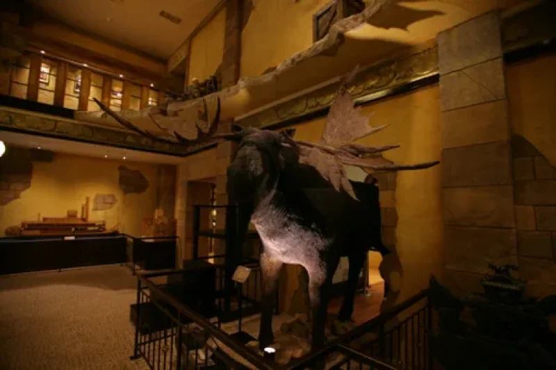 Ripley's Believe It or Not! Museum  (2/10)