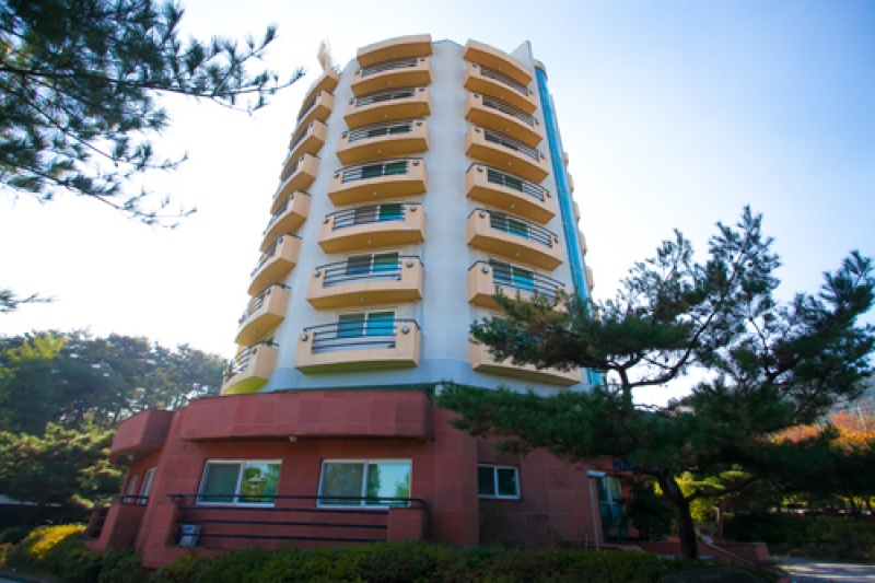 Duksan Towertel - Goodstay 덕산온천타워호텔[우수숙박시설 굿스테이] (9/11)