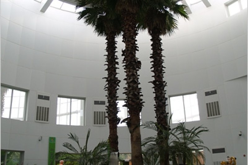 Bucheon Botanical Garden  (4/11)