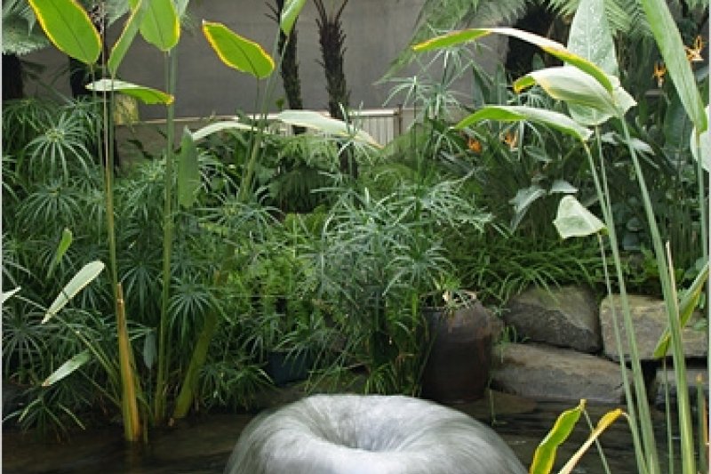 Bucheon Botanical Garden  (5/11)