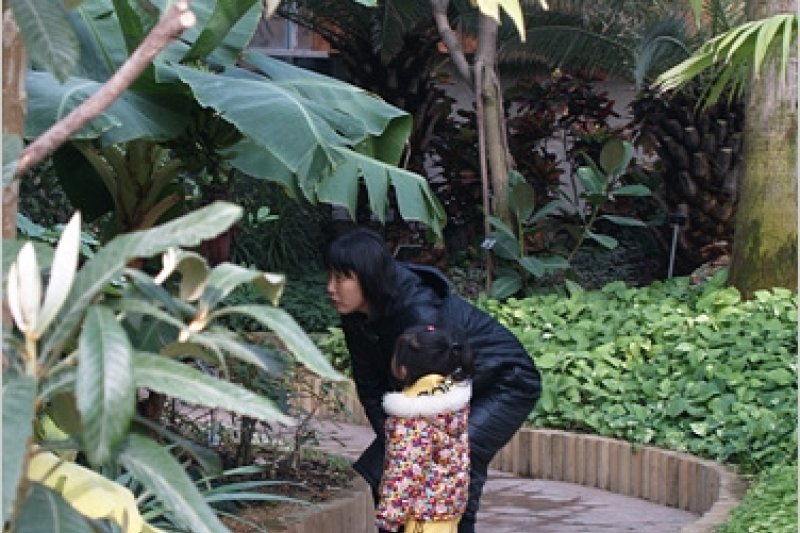 Bucheon Botanical Garden  (10/11)