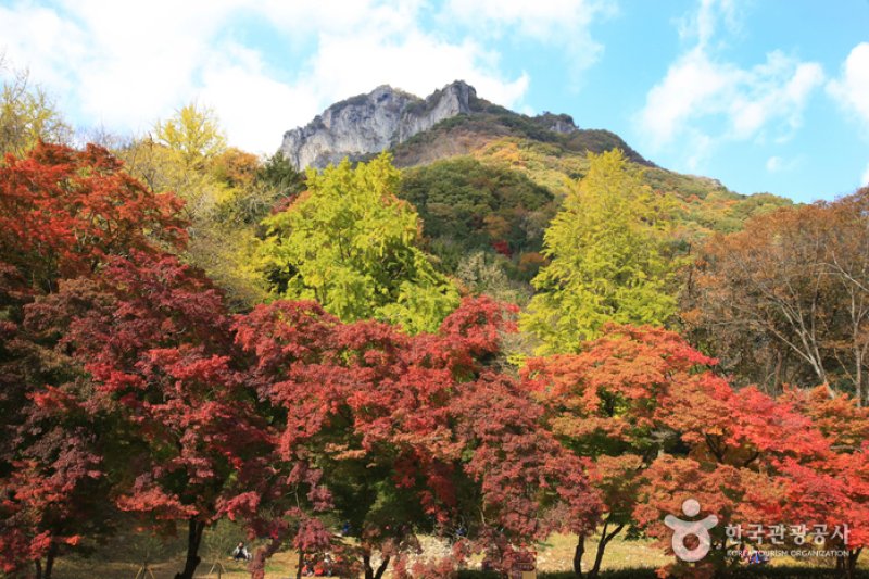 Baegamsan Mountain  (4/4)