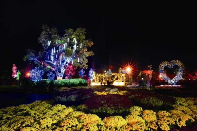 Iksan Ten Million Chrysanthemum Festival  (1/5)