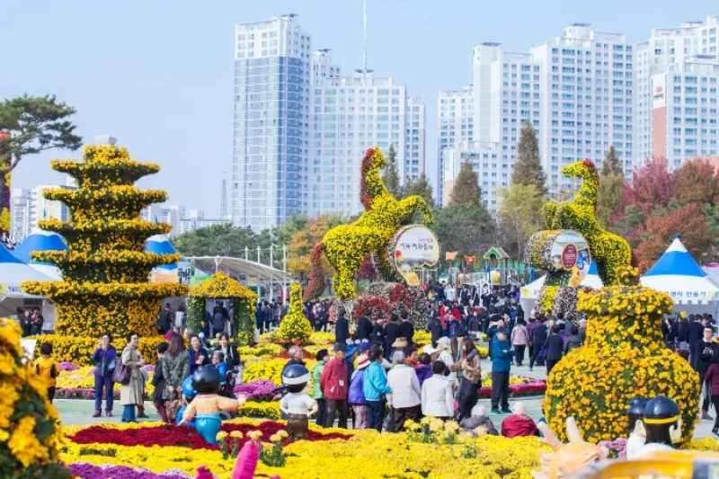 Iksan Ten Million Chrysanthemum Festival  (3/5)