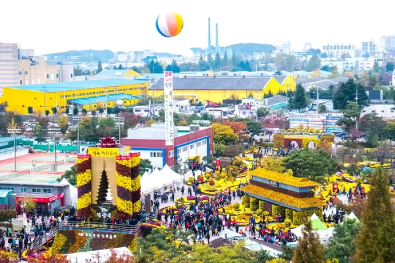 Iksan Ten Million Chrysanthemum Festival  (5/5)