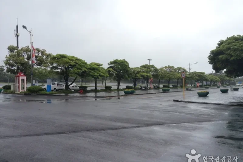 Let's Run Park Jeju  (6/13)
