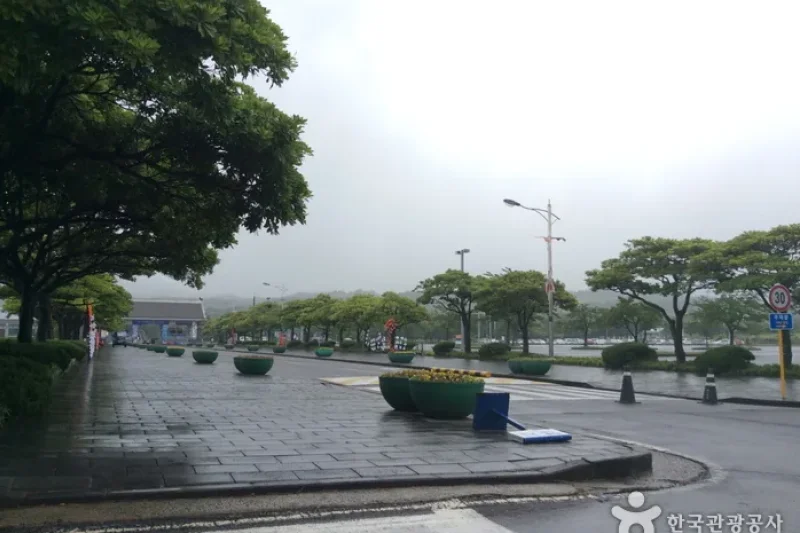 Let's Run Park Jeju  (8/13)