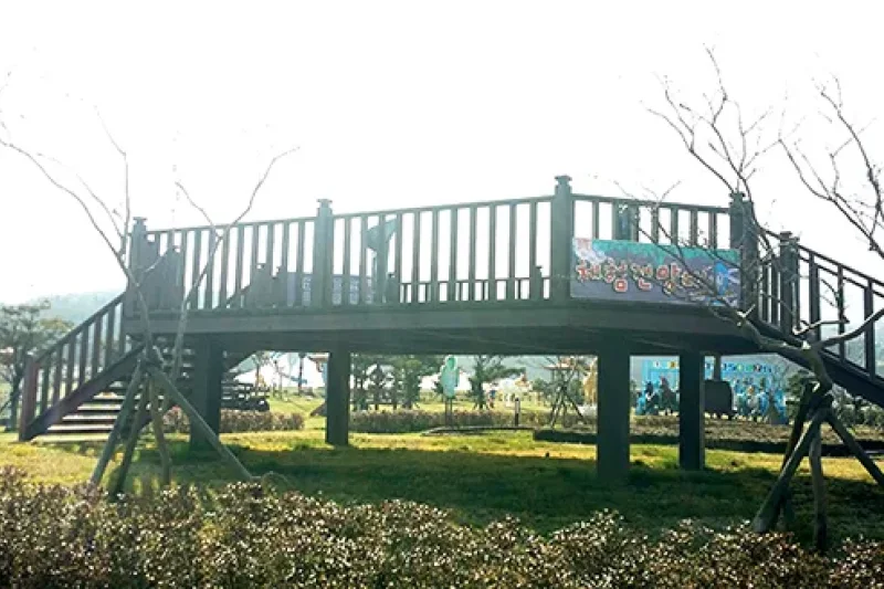 Let's Run Park Jeju  (13/13)