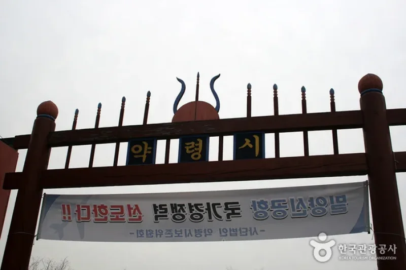 Daegu Yangnyeongsi Museum of Oriental Medicine  (1/16)