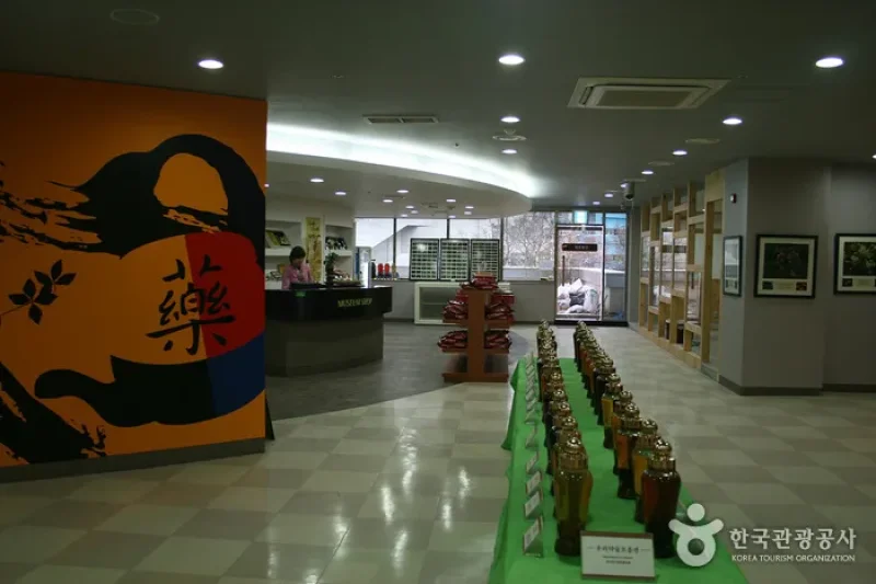 Daegu Yangnyeongsi Museum of Oriental Medicine  (3/16)