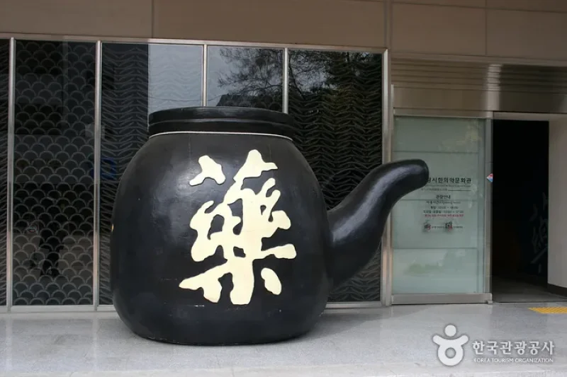 Daegu Yangnyeongsi Museum of Oriental Medicine  (14/16)