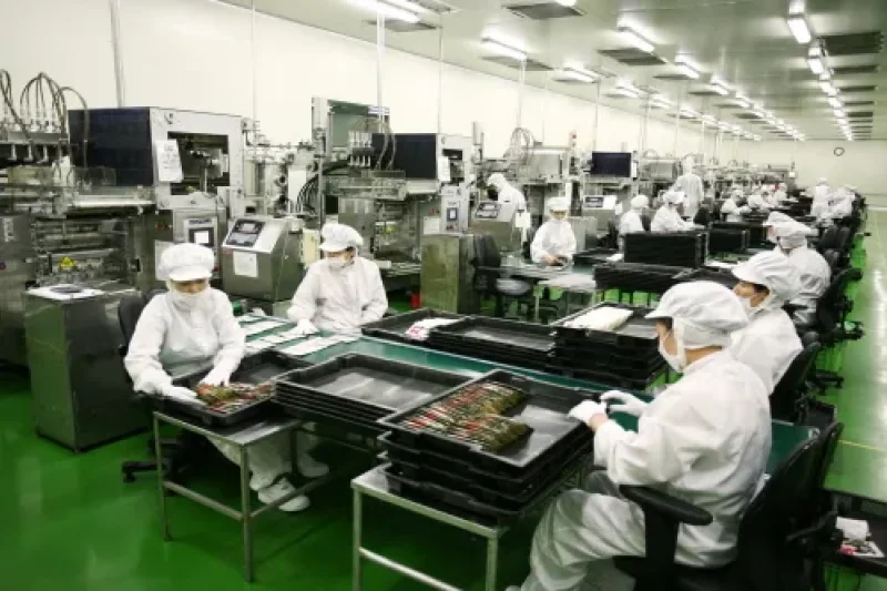 Korea Ginseng Corporation - Korea Ginseng Factory  (1/10)
