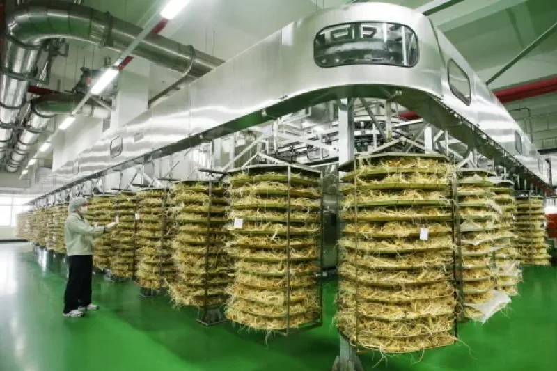 Korea Ginseng Corporation - Korea Ginseng Factory  (5/10)
