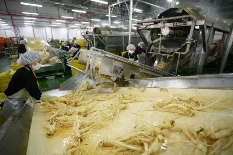 Korea Ginseng Corporation - Korea Ginseng Factory  (6/10)