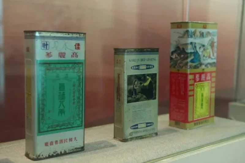 Korea Ginseng Corporation - Korea Ginseng Factory  (8/10)