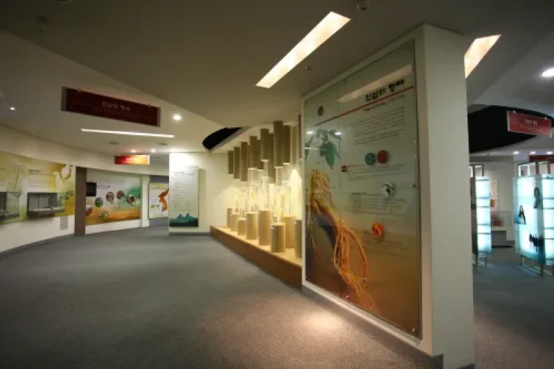 Korea Ginseng Corporation - Korea Ginseng Factory  (9/10)