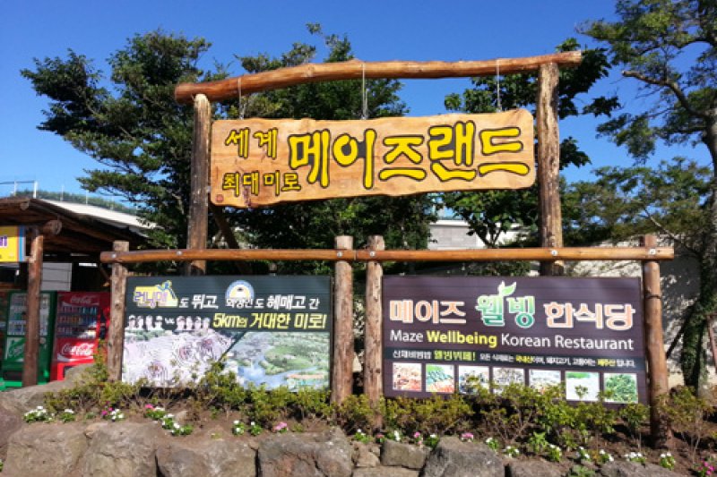Maze Land  (6/7)