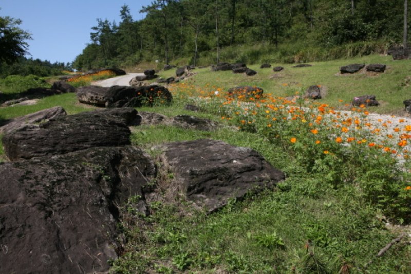 Hwasun Dolmen Site [UNESCO World Heritage]  (4/14)