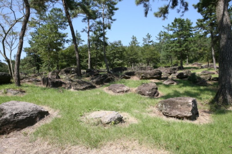 Hwasun Dolmen Site [UNESCO World Heritage]  (6/14)
