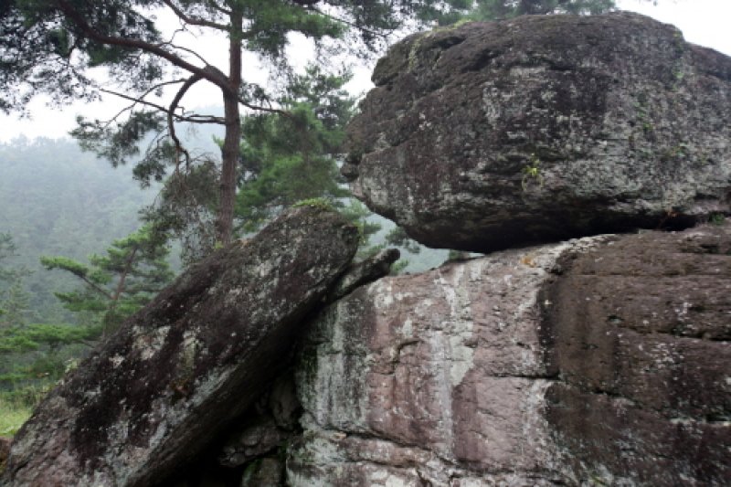 Hwasun Dolmen Site [UNESCO World Heritage]  (8/14)
