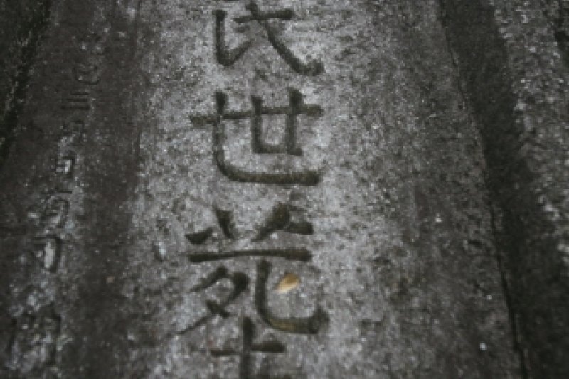 Hwasun Dolmen Site [UNESCO World Heritage]  (10/14)