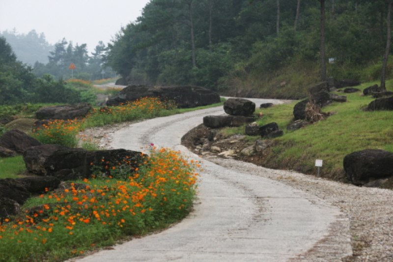 Hwasun Dolmen Site [UNESCO World Heritage]  (11/14)