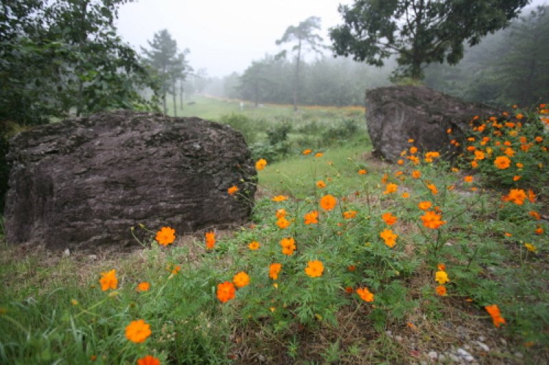 Hwasun Dolmen Site [UNESCO World Heritage]  (12/14)