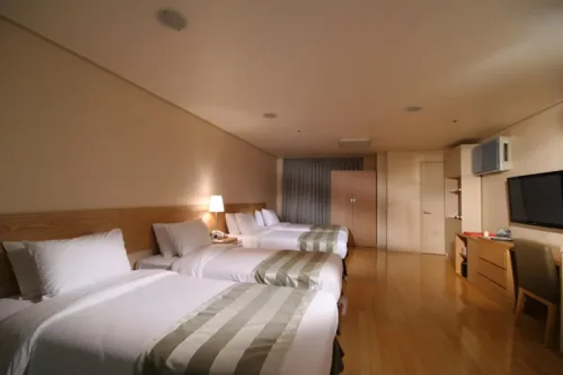 Ramada Hotel Dongdaemun  (9/9)