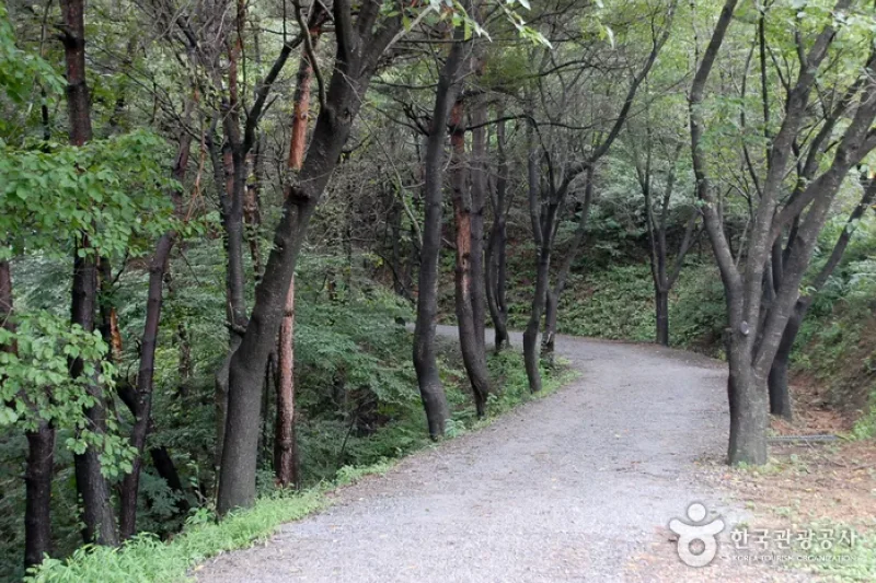 Chilgapsan Provincial Park  (2/8)